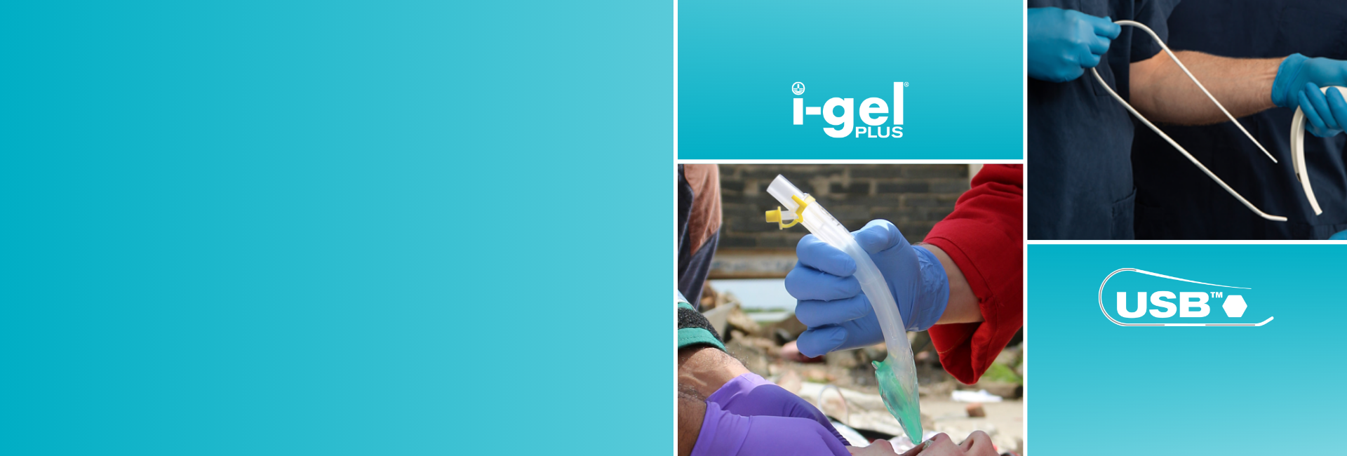 World Airway Management Meeting (WAMM)